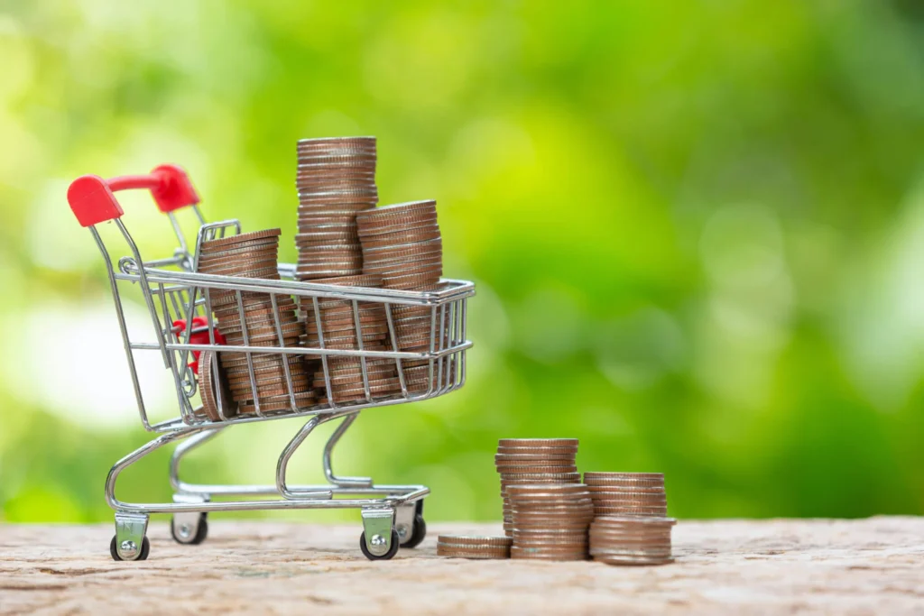 shopping trolley and money