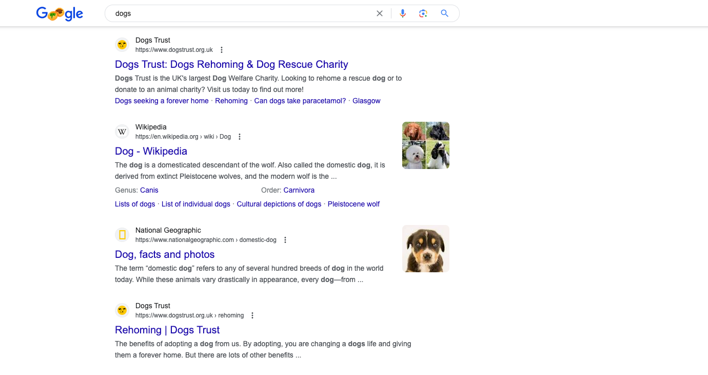Dog search in Google