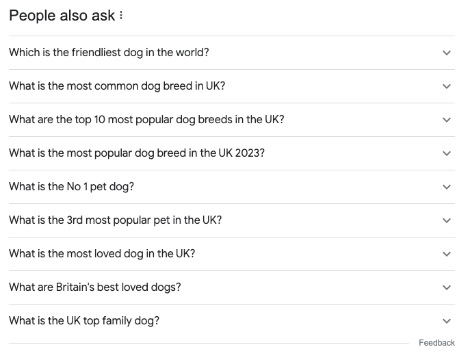 Questions about dogs in Google
