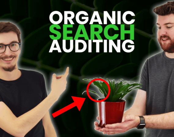 organic search audit