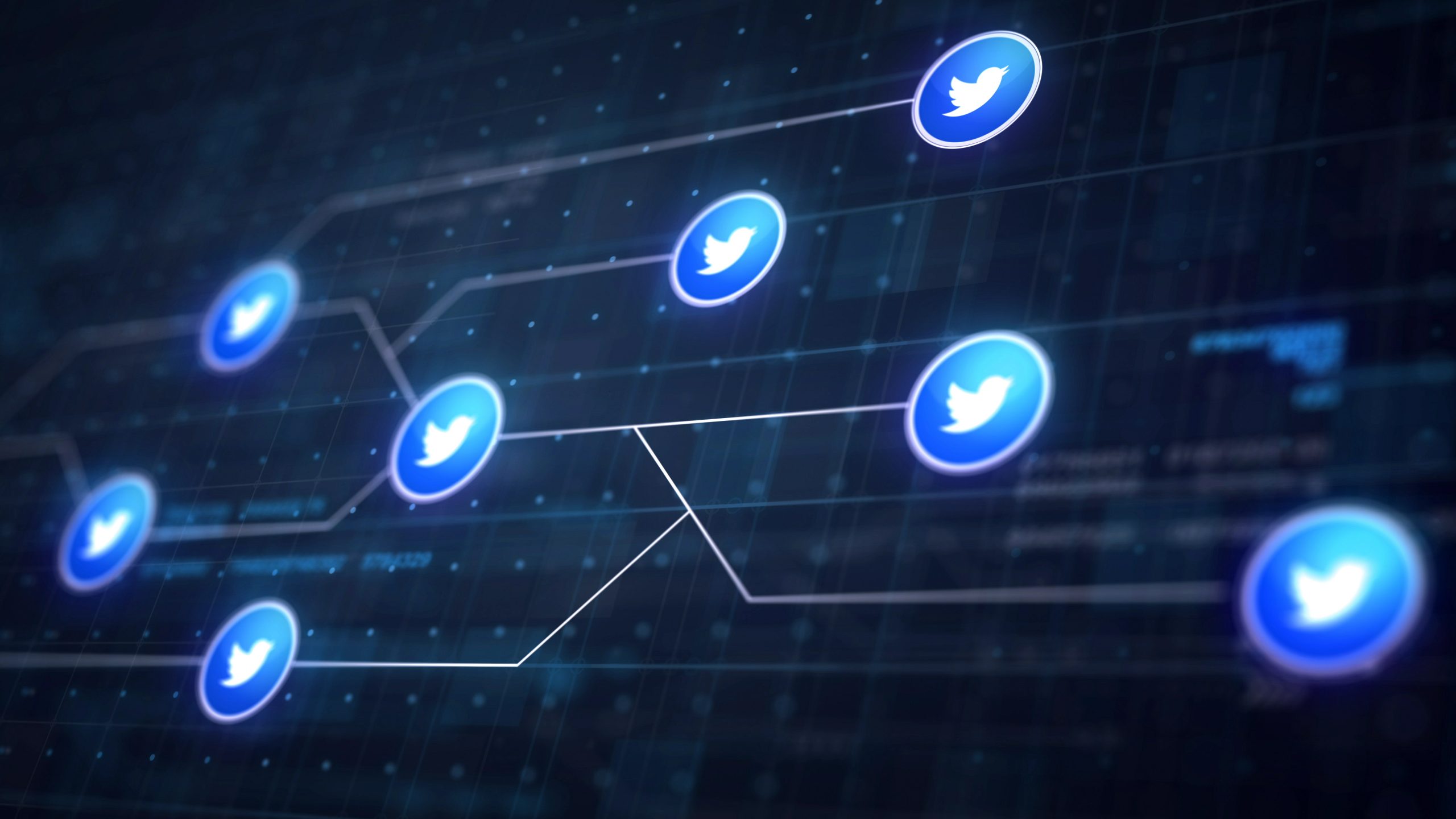 Twitter logos connected with lines to look like a network or circuit board