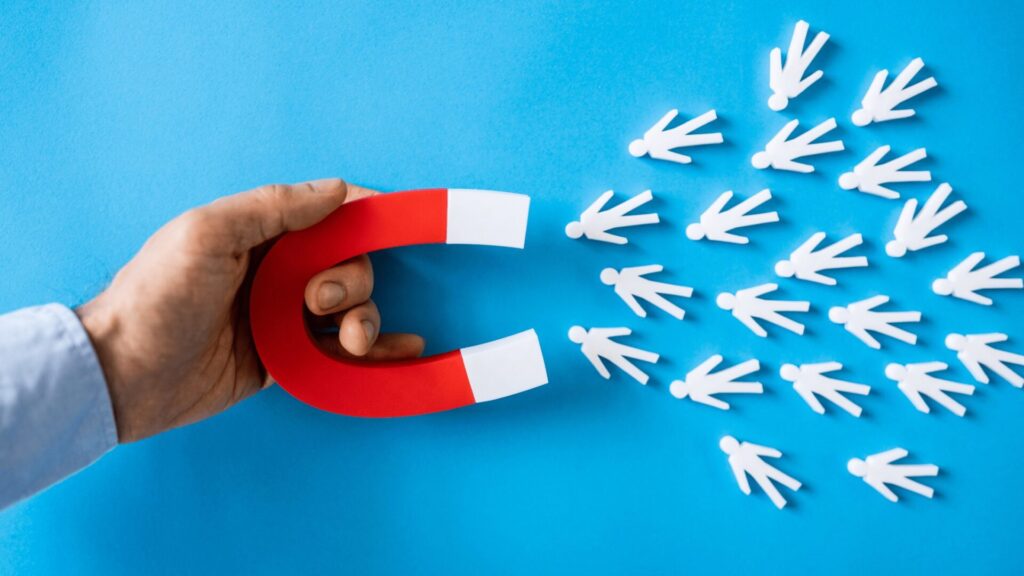 magnet and leads