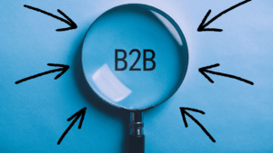 b2b magnified