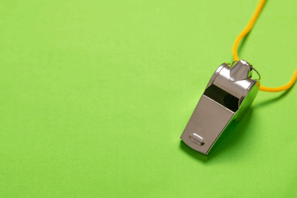 whistle google penalties