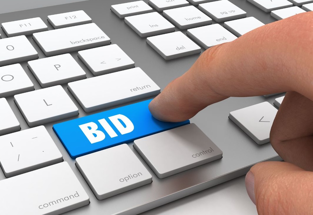 bidding strategies