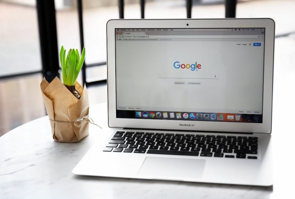 google on screen and plant